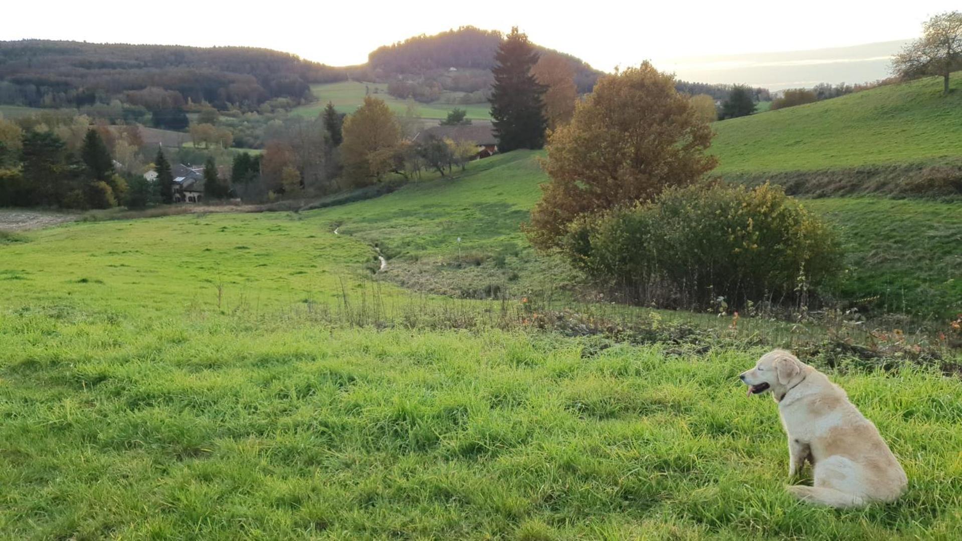 S'Yvoux Plait Daire La Chapelle  Dış mekan fotoğraf